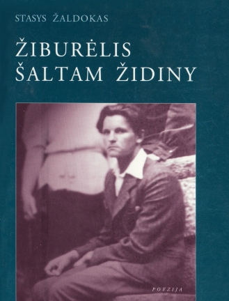 virselis-ziburelis-saltam-zidiny_1666948405-45b5e851a3ecf765bb988916dcf3de44.jpg
